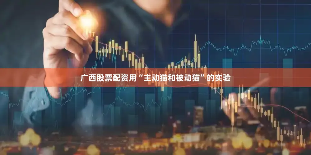 广西股票配资用“主动猫和被动猫”的实验