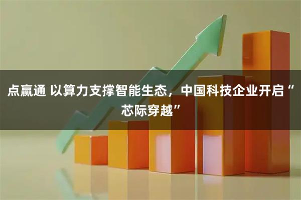 点赢通 以算力支撑智能生态，中国科技企业开启“芯际穿越”