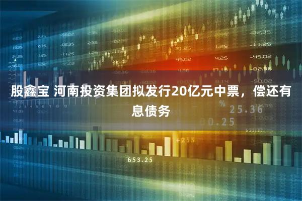 股鑫宝 河南投资集团拟发行20亿元中票，偿还有息债务