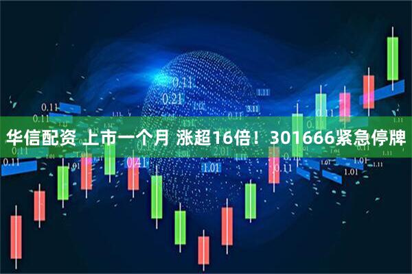 华信配资 上市一个月 涨超16倍！301666紧急停牌