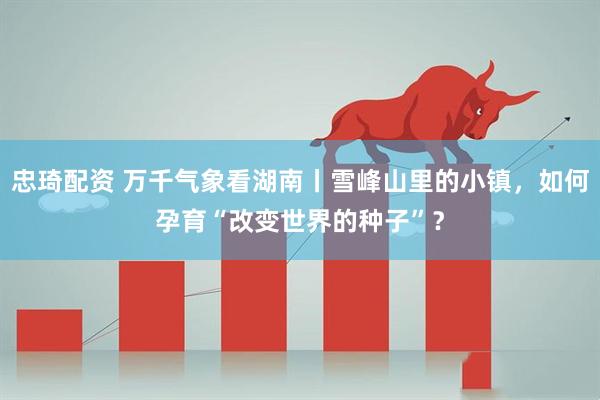 忠琦配资 万千气象看湖南丨雪峰山里的小镇，如何孕育“改变世界的种子”？