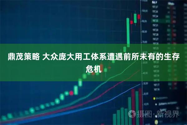 鼎茂策略 大众庞大用工体系遭遇前所未有的生存危机