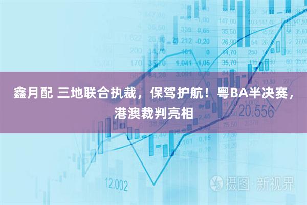 鑫月配 三地联合执裁,保驾护航!粤BA半决赛,港澳裁判亮相